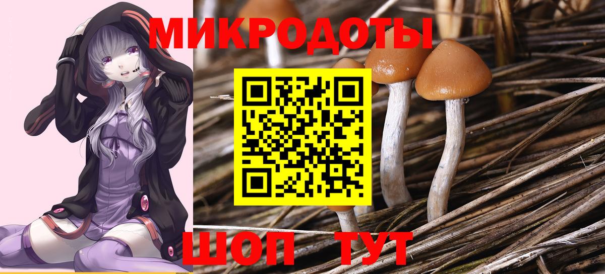 Галлюциногенные грибы прущие грибы Алапаевск